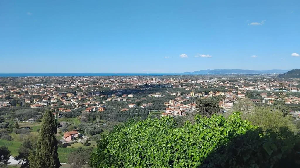 Belvedere 10