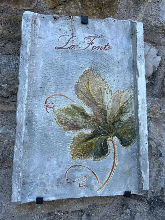 BORGO A MONTI di Sotto — foto 8
