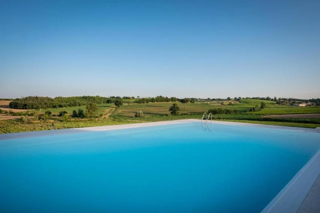 Borgo Syrah — foto 3