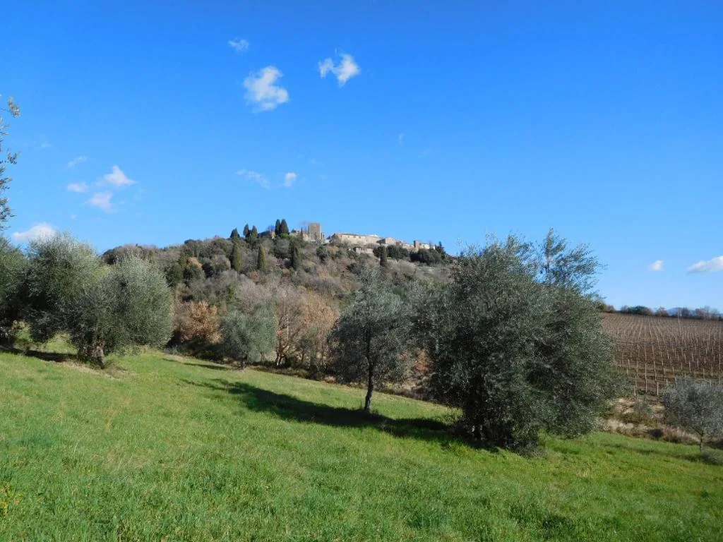 Borgo Vecchio — foto 8
