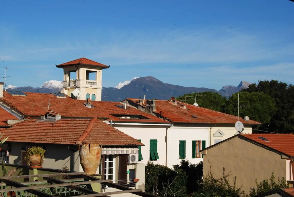 Burlamacco Gold — foto 4