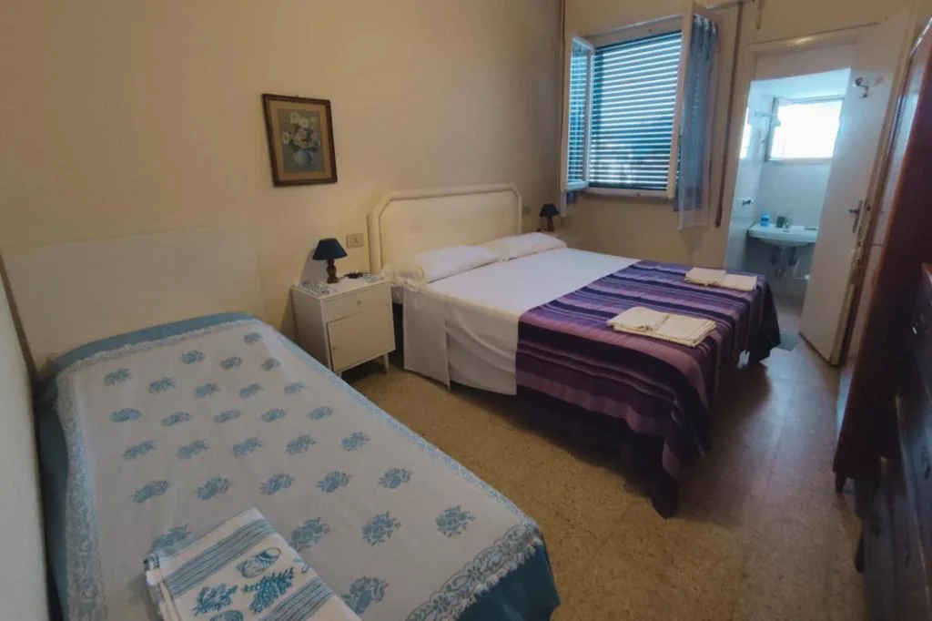 Budget Double or Twin Room — Hotel Delhy