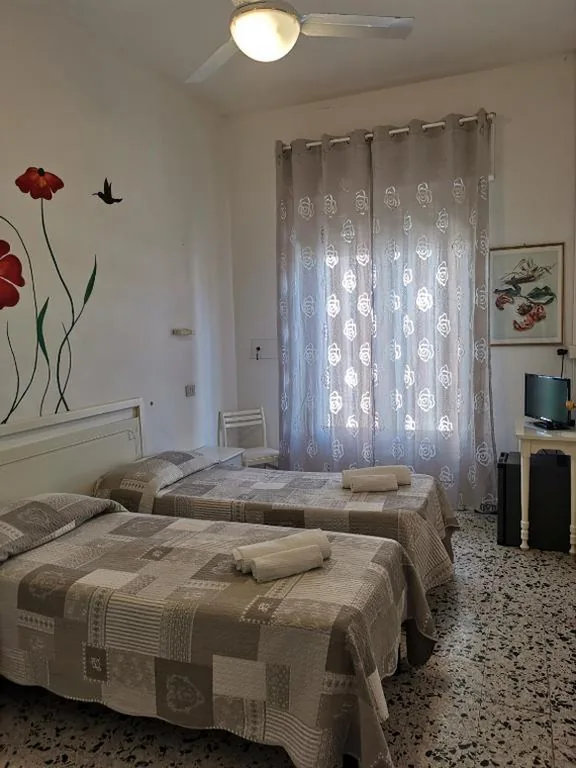 Camera Economy Matrimoniale/Doppia con Letti Singoli — Hotel Milani