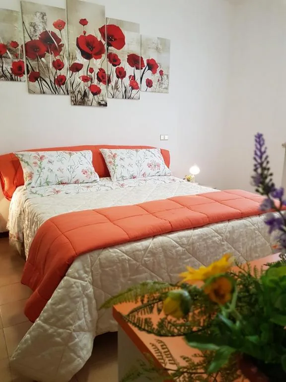 Camera Matrimoniale con Bagno Privato — MAYFLOWERS B&B Zona Ospedale Cisanello Pisa