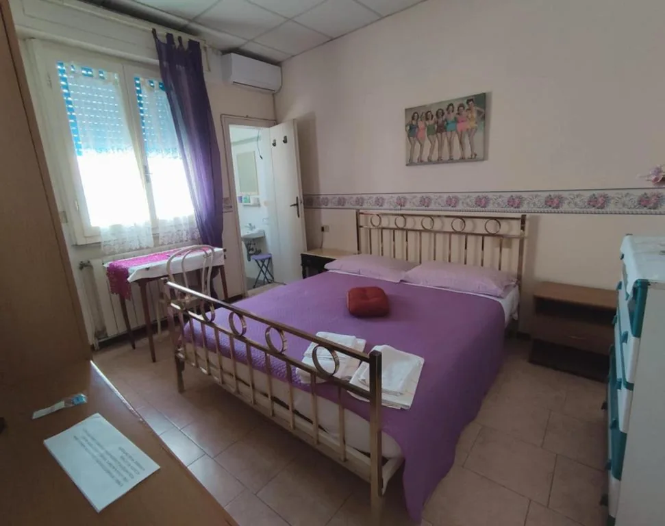 Standard Double Room — Hotel Delhy