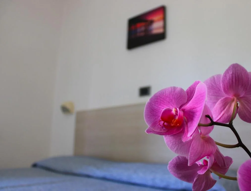 Camera Quadrupla — Hotel Puccinelli