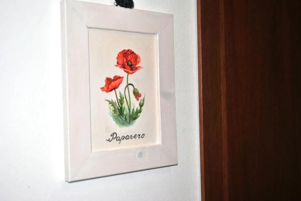 Camera Singola con Bagno — Antico Granaione