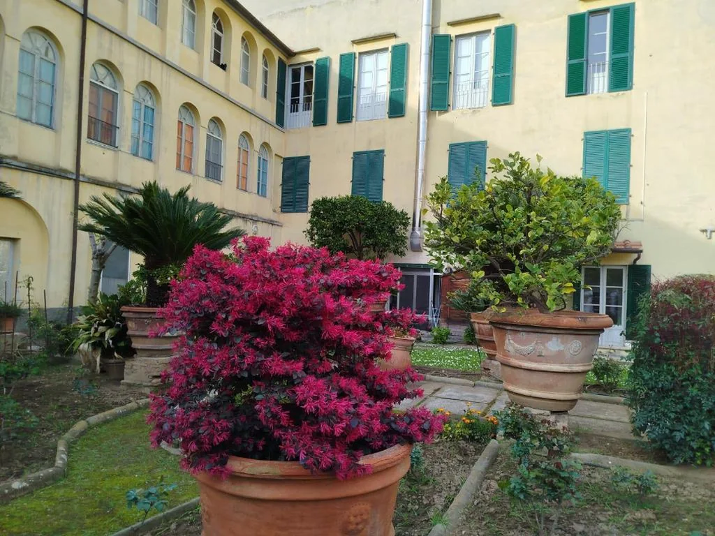 Standard Single Room — Casa per ferie religiosa Figlie di Nazareth