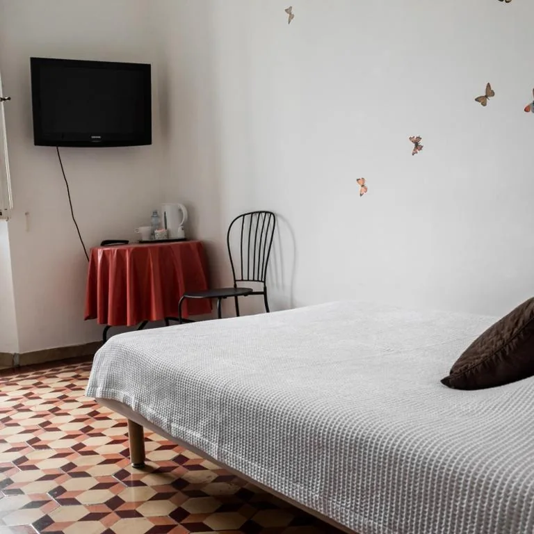 Standard Single Room with Shared Bathroom — Arena Alfieri B&B