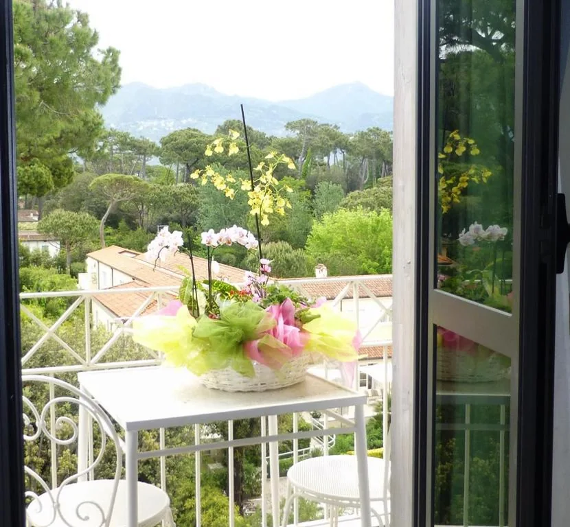 Standard Single Room with Mountain View — Hotel Acapulco