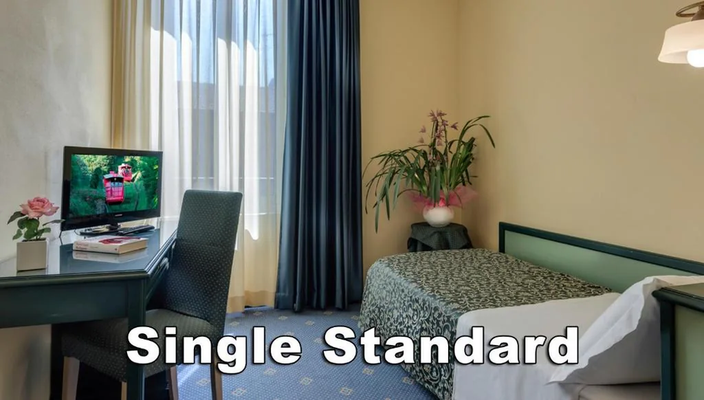 Standard Single Room — Hotel Da Vinci