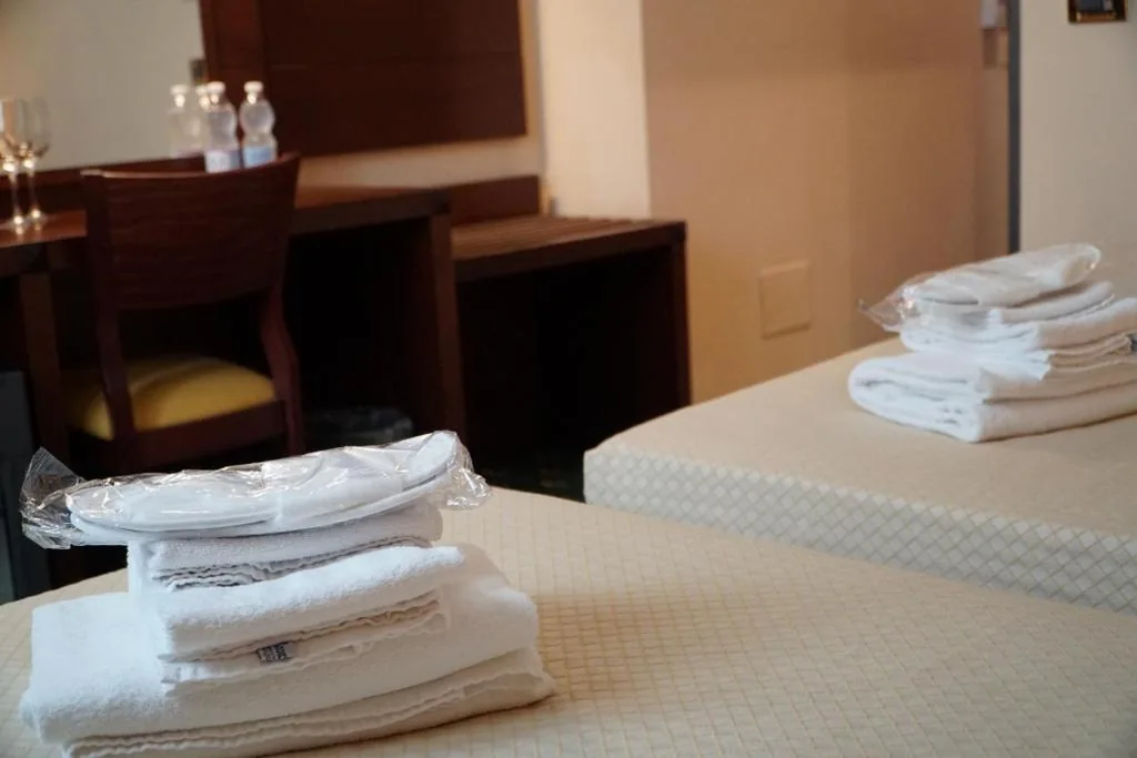 Standard Double or Twin Room — Hotel President