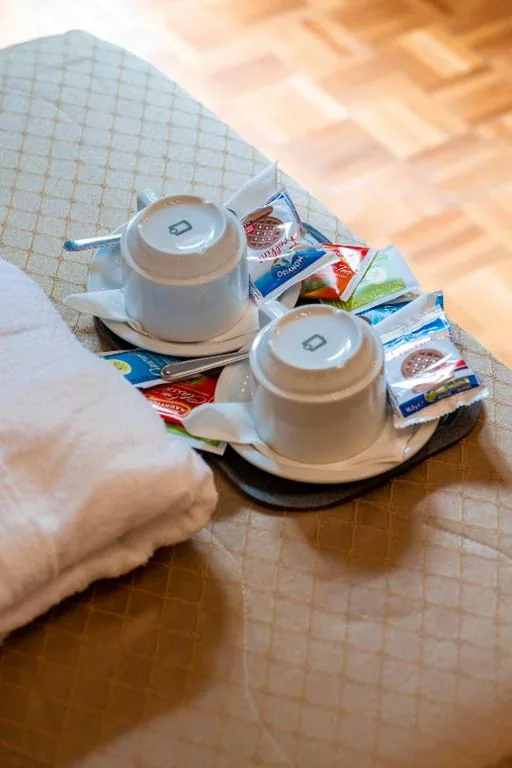 Standard Double or Twin Room — Hotel Terme Pellegrini
