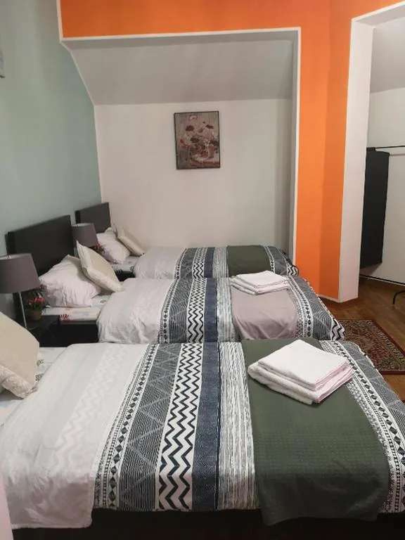 Economy Triple Room with Shared Bathroom — Firenze inn 21 Florence