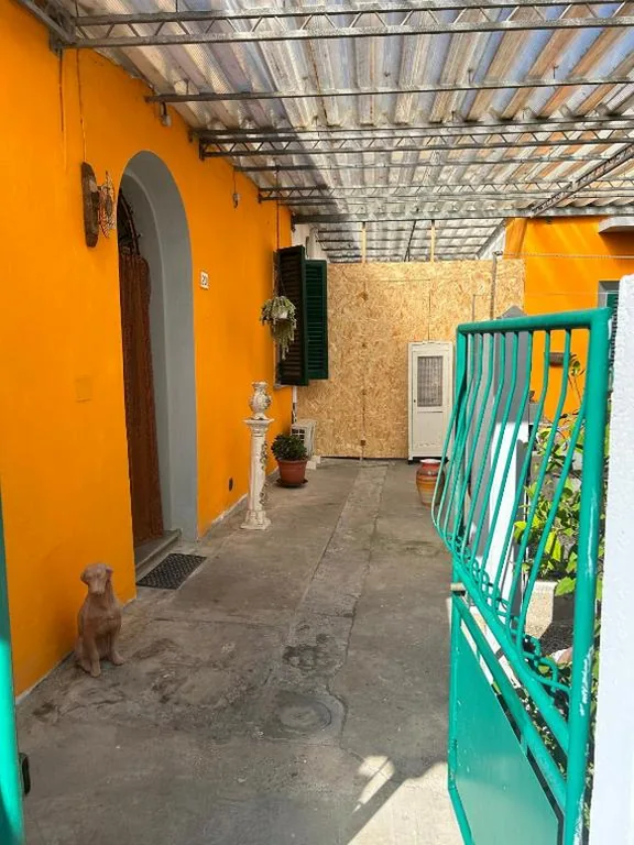 Carlitos MAISON — foto 4