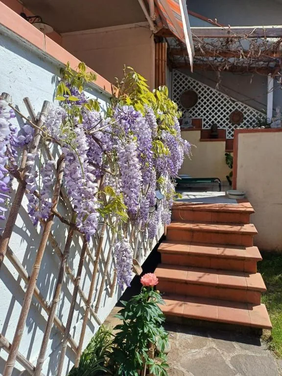 Casa dei glicini — foto 8