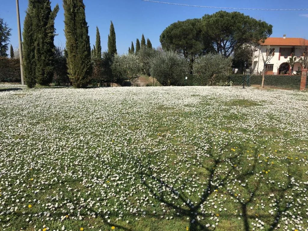 Casa dei Tigli — foto 5
