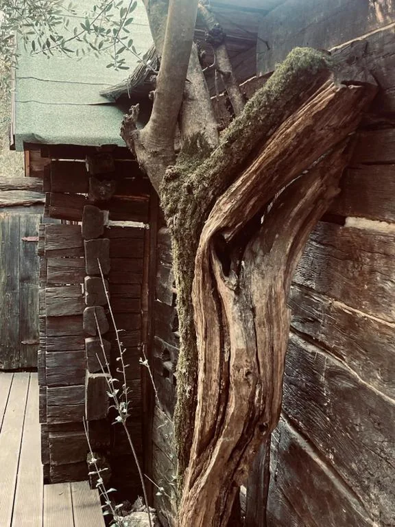 Casa Del Sole — foto 7