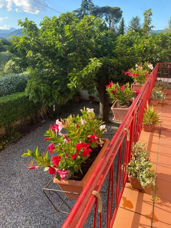 Casa Mary — foto 6