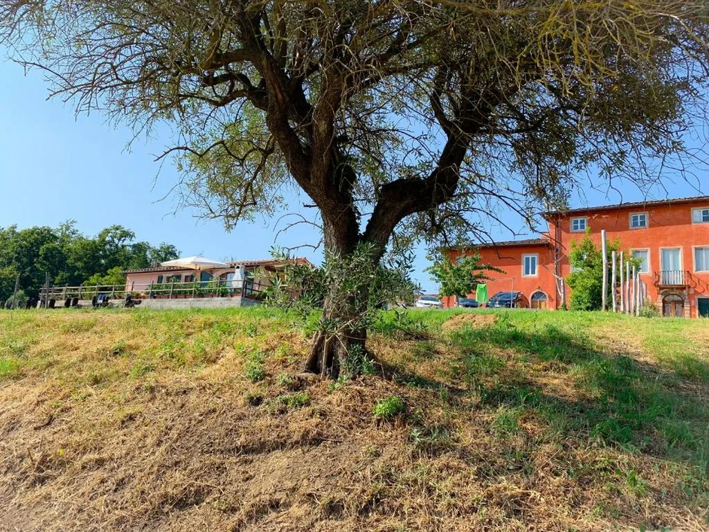 Casa Vacanze — Villino Al Dotto Country House