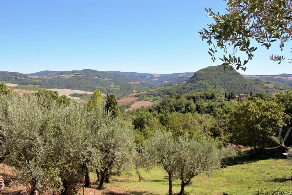 Casa Vista della Roccia — foto 4