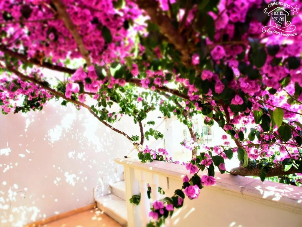 Casamare Hotel — foto 4