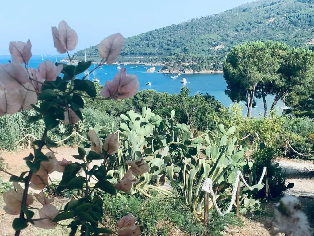 Case dei limoni sul mare — foto 7