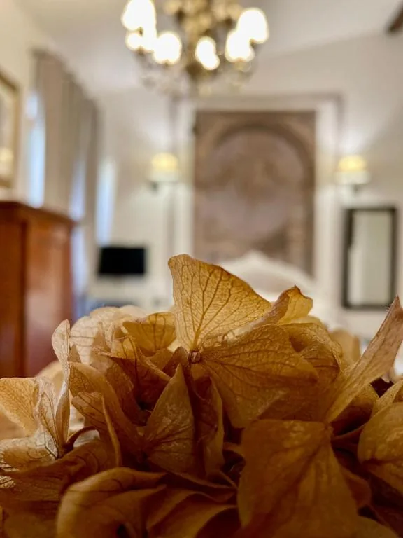Cestello Luxury Rooms — foto 5