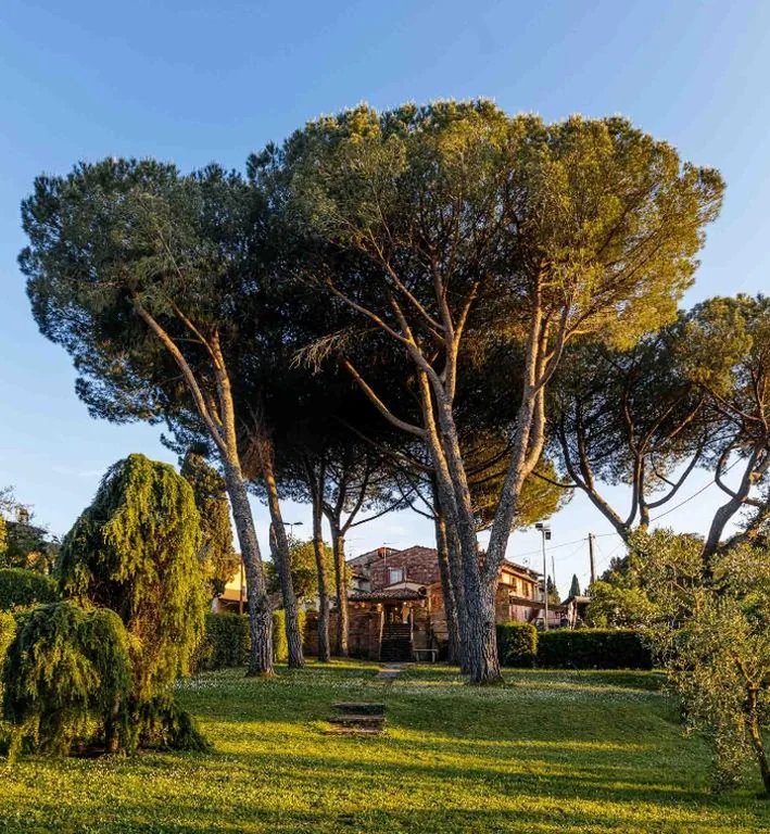 Collebrunacchi B&B — foto 5