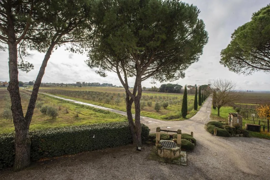 Cortona Resort-Le Terre Dei Cavalieri — foto 6