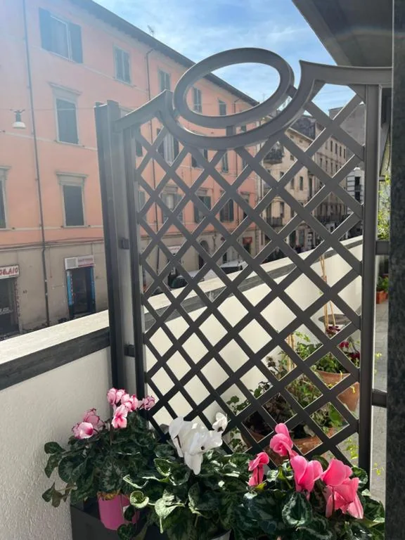 Cucù home — foto 5