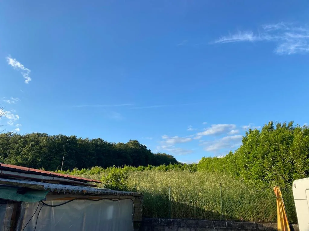 Da Francesca — foto 6