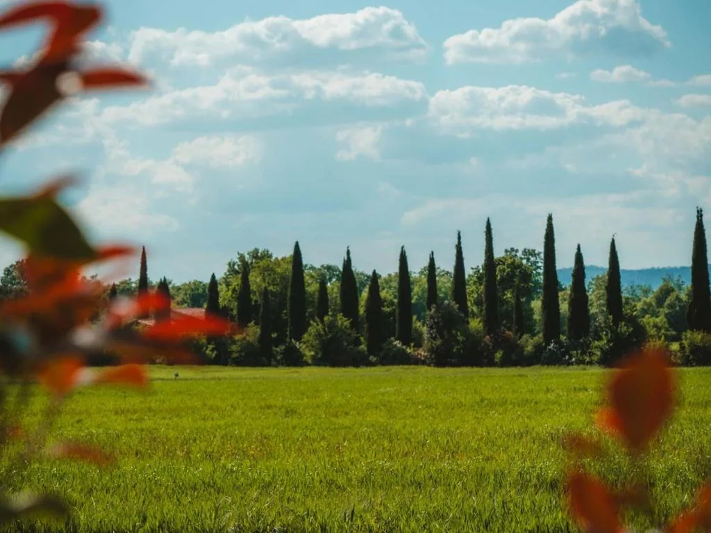 Dolce Casa 1 by Tiny Away — foto 4