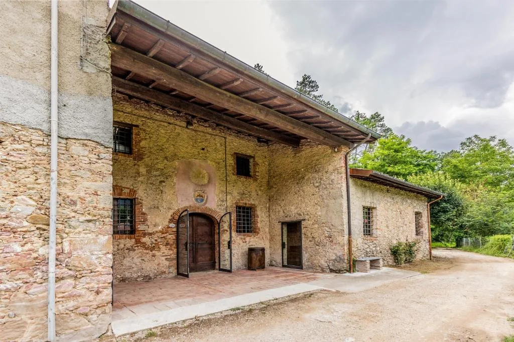 Frantoio Del Moscatello — foto 6