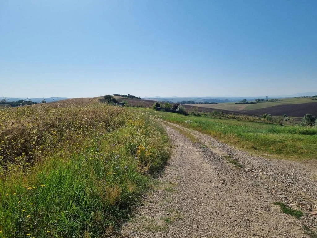 Gli Ulivi di Siena — foto 7