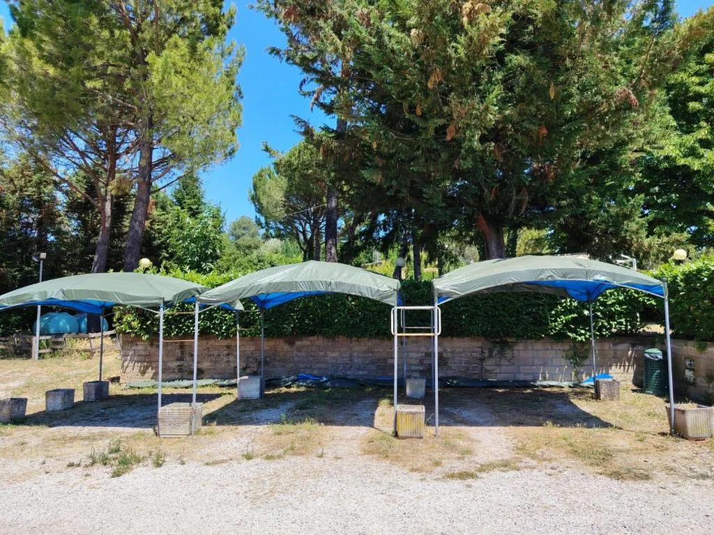 Hotel Ai Tufi — foto 8