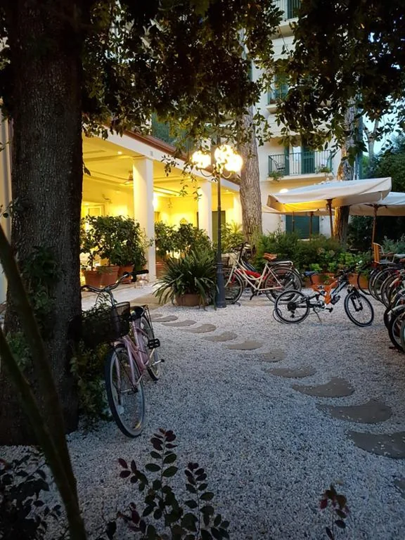 Hotel La Primula — foto 4