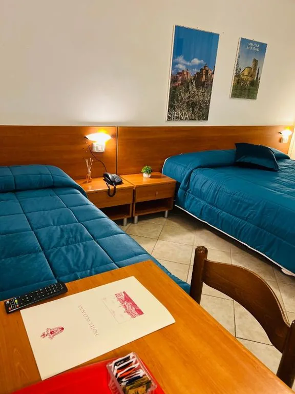Hotel Vico Alto Siena — foto 6