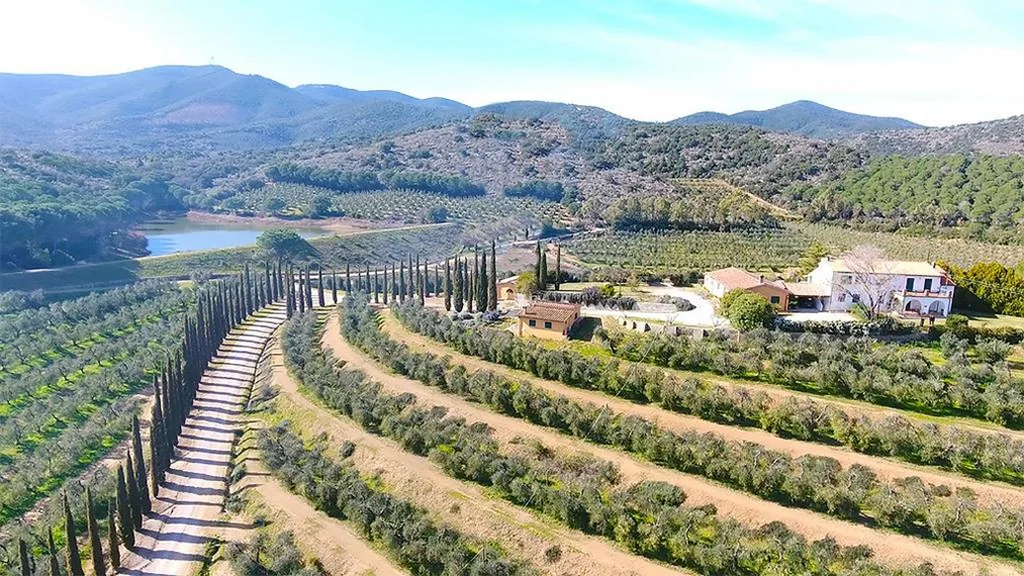 KALI Srl Società Agricola — foto 6