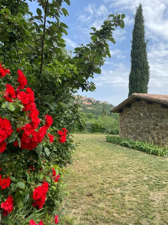 La casa dei caprioli appartamento in casale — foto 6