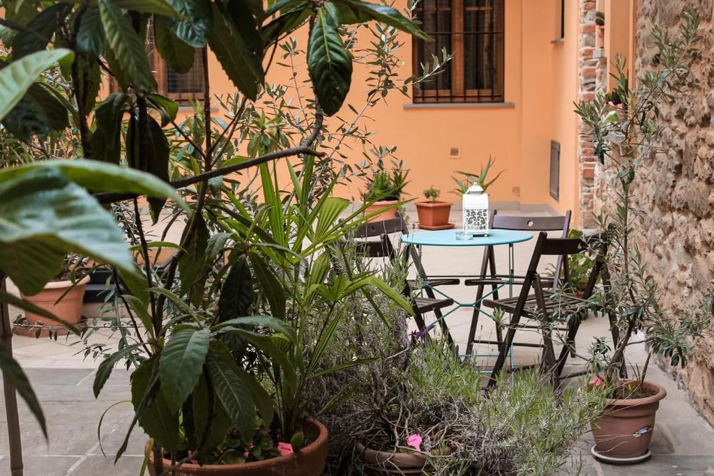 La Corte — foto 7
