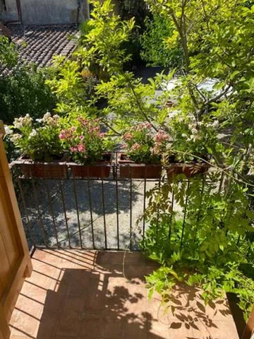 La Magnolia — foto 7