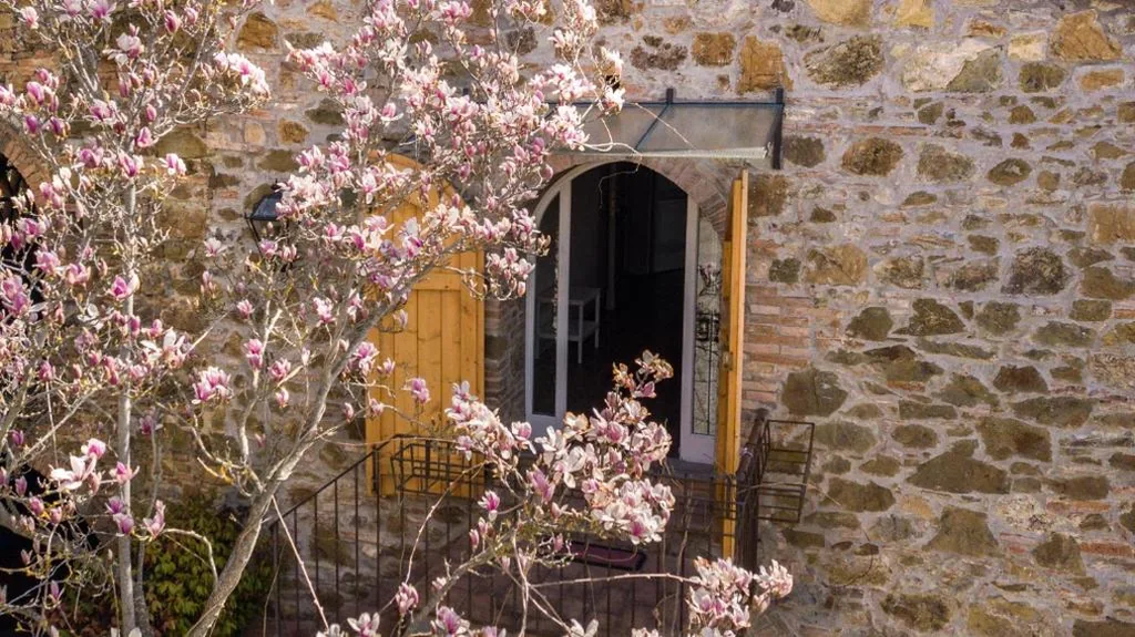 La Magnolia — foto 8