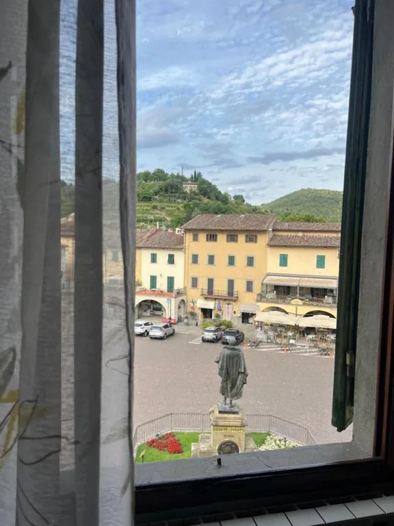 La margherita bianca