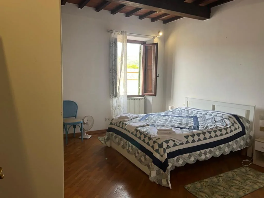 La margherita bianca
