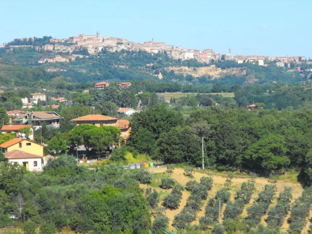 La Piccola Siesta b&b — foto 6