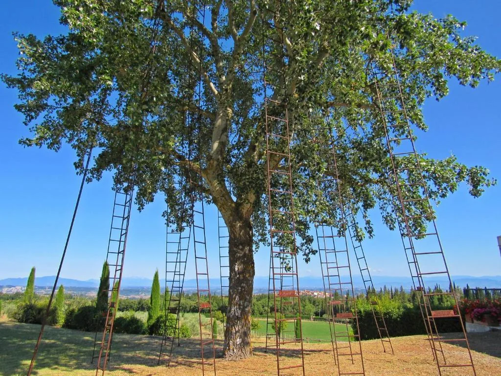 LA RIMESSA EXPERIENCE-Dream Holiday Home — foto 6