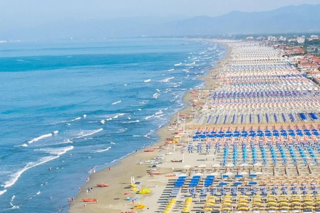 Le 2 Magnolie, Viareggio — foto 7