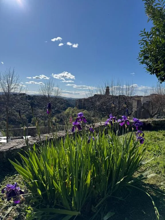 Le Camere Del Ceccottino — foto 8