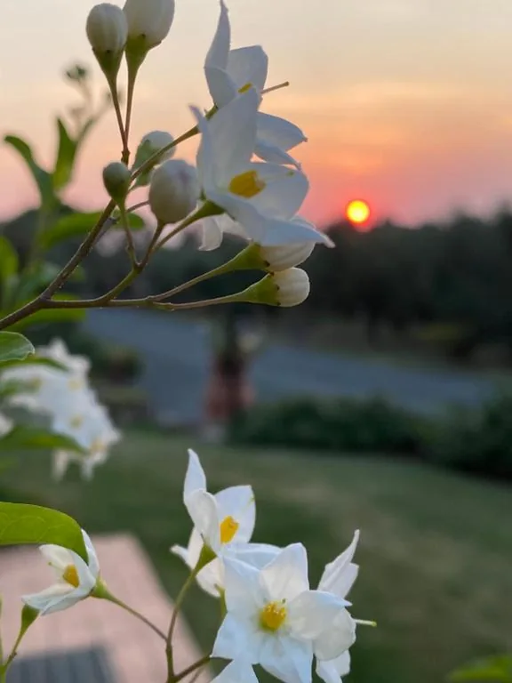 Le Macine — foto 7